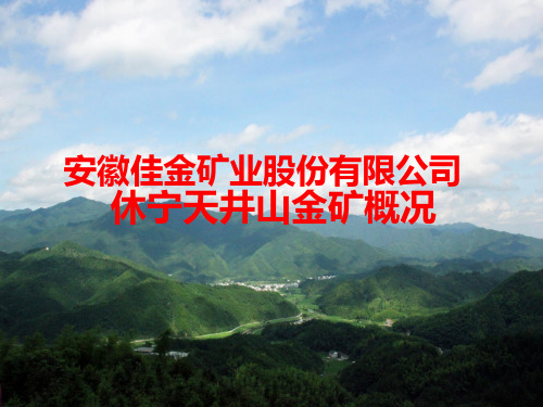 安徽黄山休宁天井山金矿
