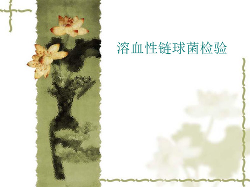 溶血性链球菌讲义