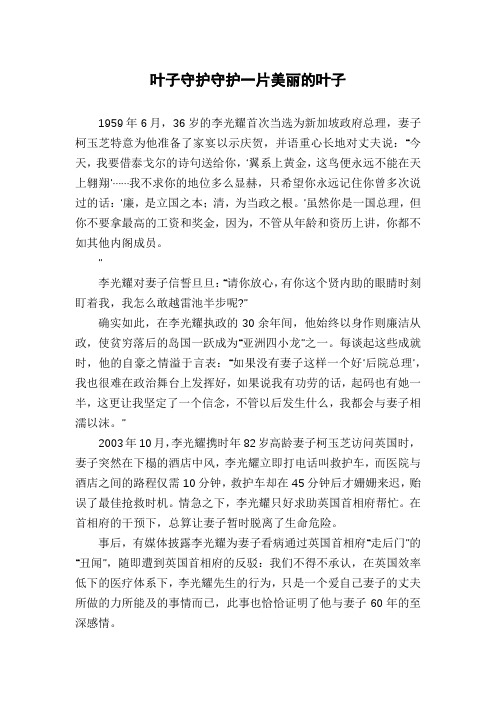 叶子守护守护一片美丽的叶子