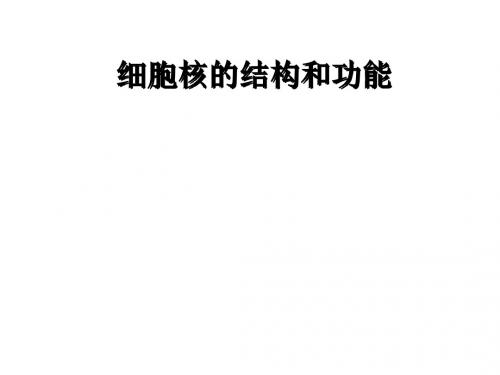 细胞核的结构和功能