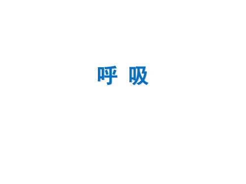 呼吸PPT课件