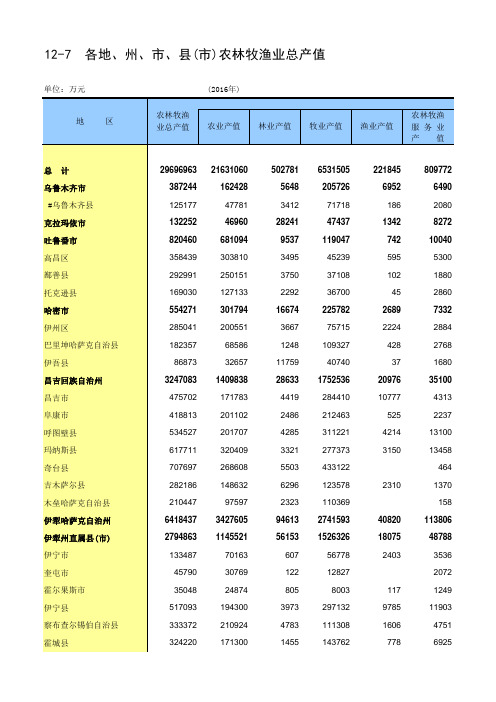 新疆统计年鉴2017社会经济发展指标：各地州市县(市)农林牧渔业总产值