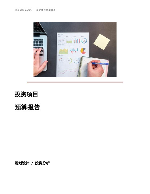投资项目预算报告