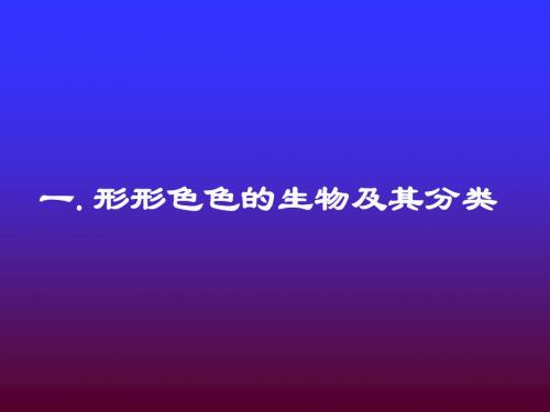 生物分类