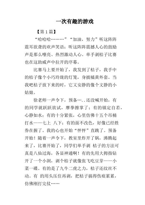 一次有趣的游戏