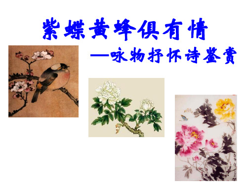 紫蝶黄蜂俱有情——咏物诗鉴赏