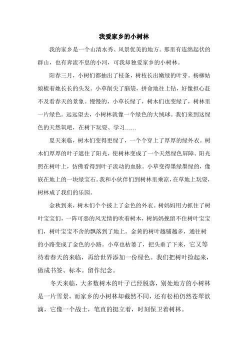 我爱家乡的小树林