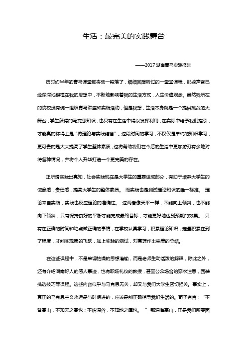湖南青马实践报告