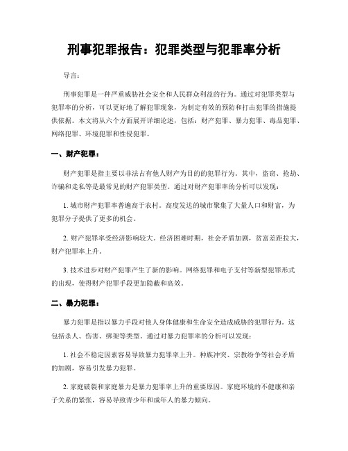 刑事犯罪报告：犯罪类型与犯罪率分析