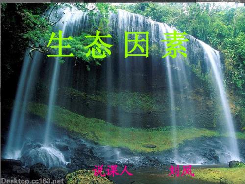 生态因素