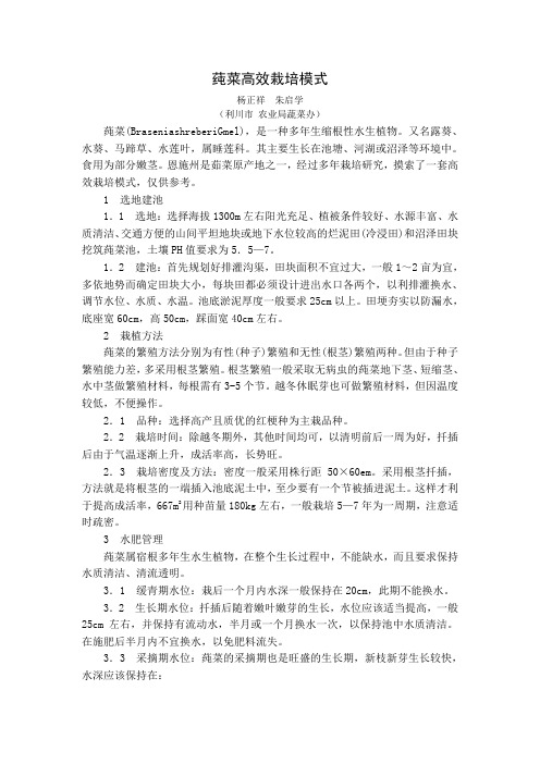 莼 菜 高 效 栽 培 模 式