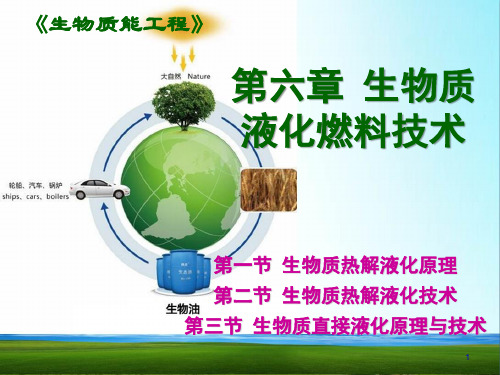 生物质能工程 6生物质液化燃料技术