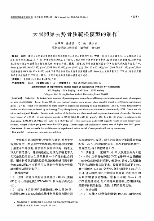 大鼠卵巢去势骨质疏松模型的制作