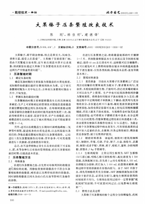 大果榛子压条繁殖改良技术