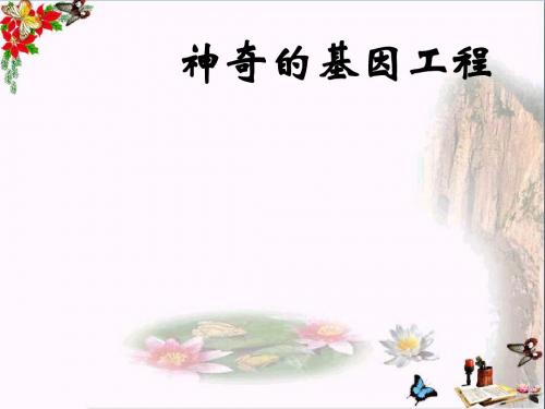 湘教版科学五下4.3《神奇的基因工程》ppt课件