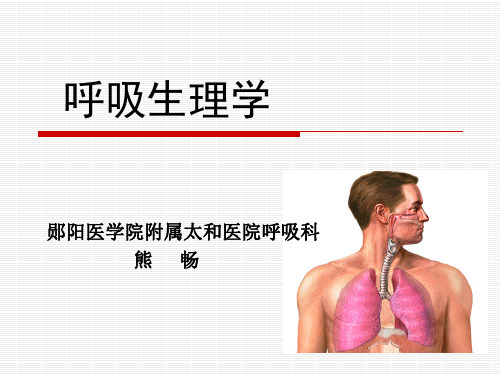 呼吸生理学