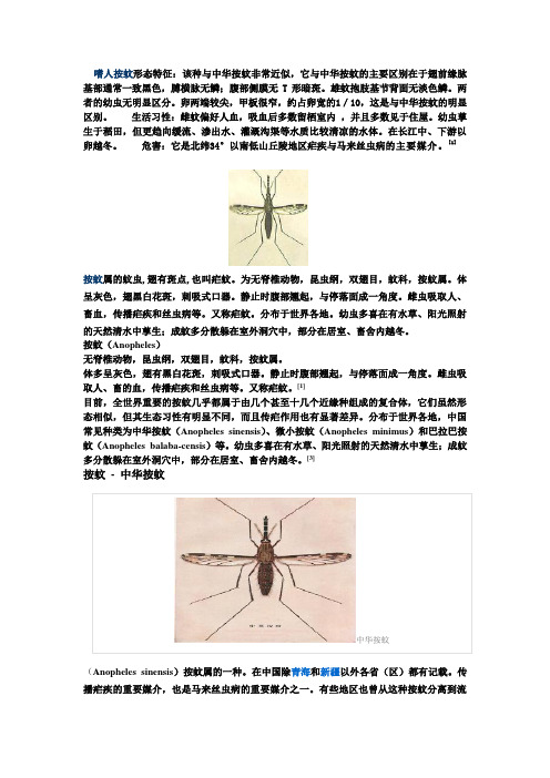 蚊子