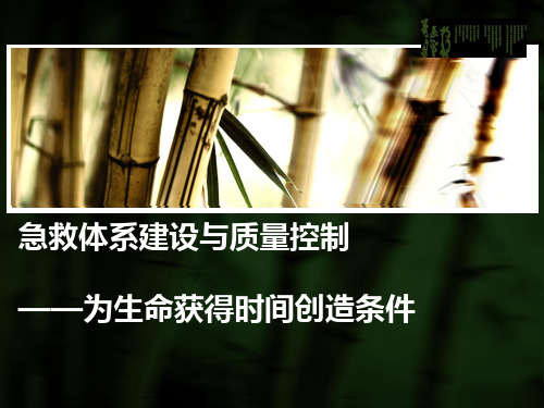 急救体系建设与质量控制