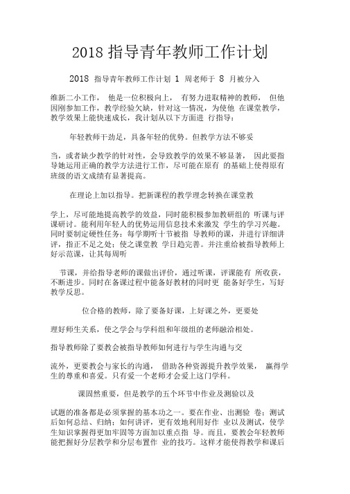 2018指导青年教师工作计划