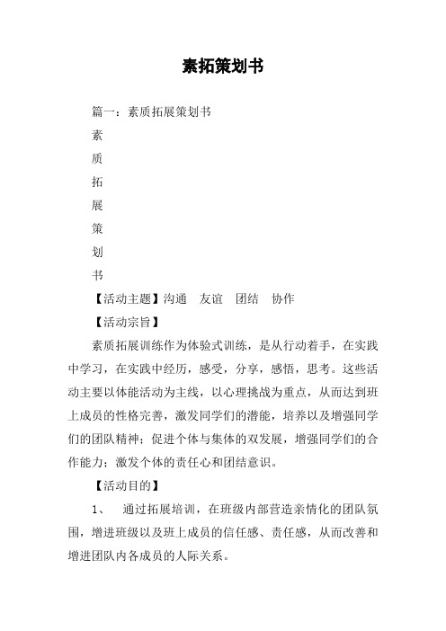素拓策划书