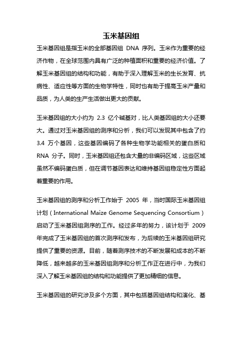 玉米基因组