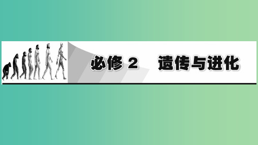 2019高考生物大一轮复习第1单元遗传定律和伴性遗传第1讲孟德尔的豌豆杂交实验(一)课件新人教版必修