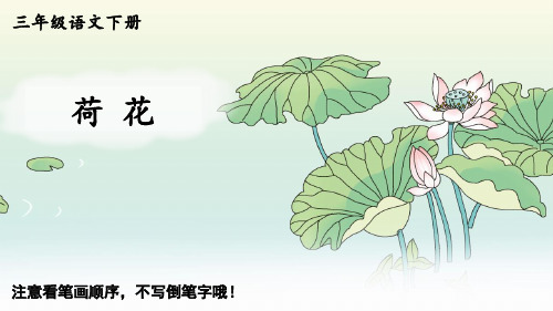 《荷花》生字笔顺课件(含配音)