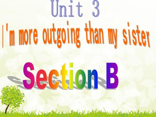 八年级英语SectionB(2a-2e)