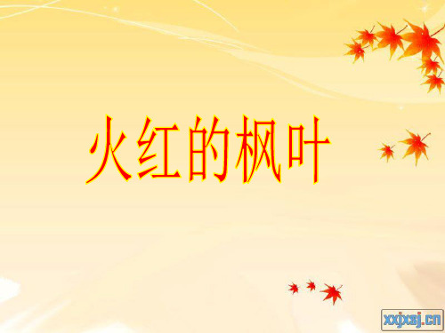 语文二年级上北师大版1-2《火红的枫叶》精品课件
