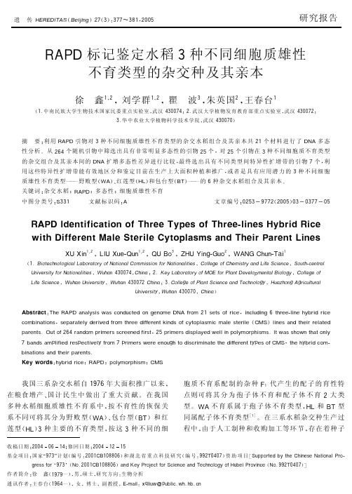 RAPD标记鉴定水稻3种不同细胞质雄性不育类型的杂交种及其亲本