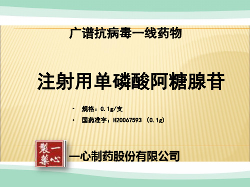 一心制药——注射用单磷酸阿糖腺苷20131215