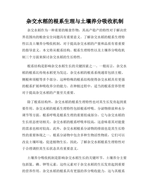 杂交水稻的根系生理与土壤养分吸收机制