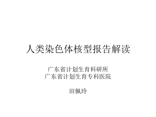 人类染色体核型报告解读