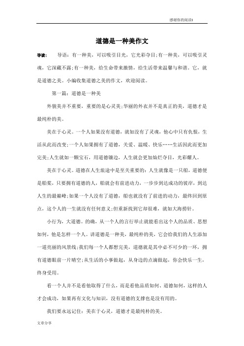 道德是一种美作文