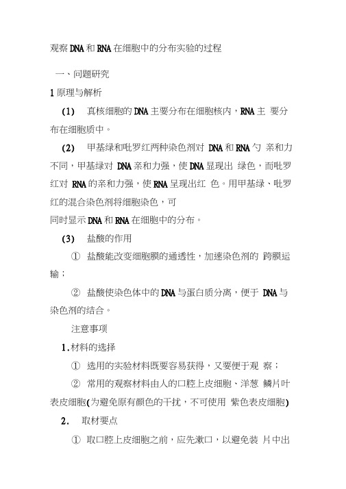 观察DNA和RNA在细胞中的分布实验的过程