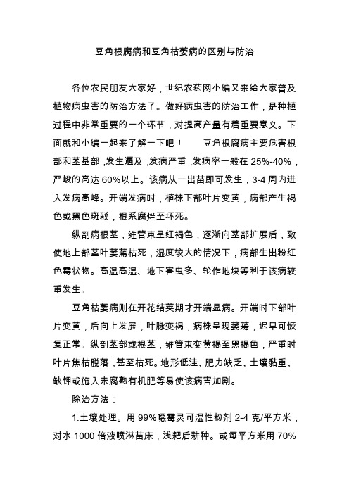 豆角根腐病和豆角枯萎病的区别与防治