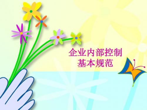 企业内部控制基本规范