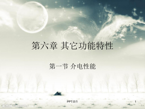 材料的介电性能  ppt课件