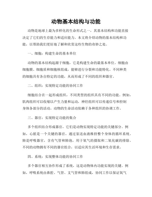 动物基本结构与功能