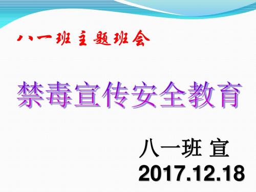 禁毒教育主题班会《禁毒宣传》ppt课件03