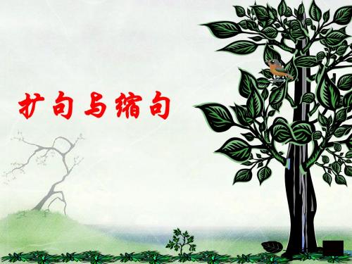 缩句、扩句复习课件