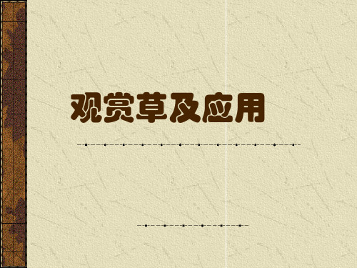 6 观赏草