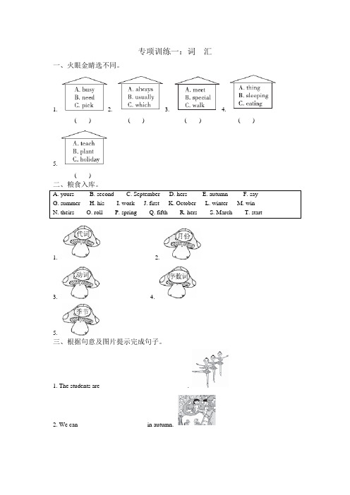 人教版PEP英语五年级下册专题训练词汇含答案【精选】.doc
