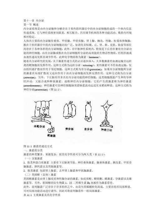 第11章内分泌.doc