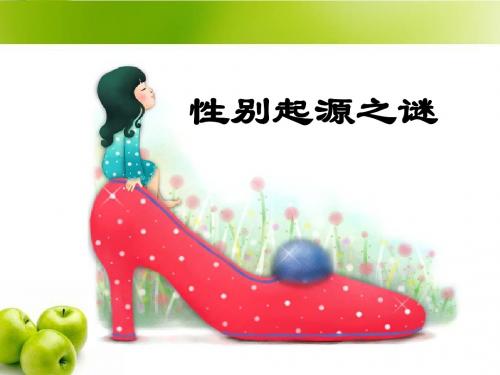 初中生物《性别决定》课件【精品】