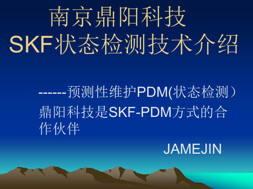 SKF状态检测技术