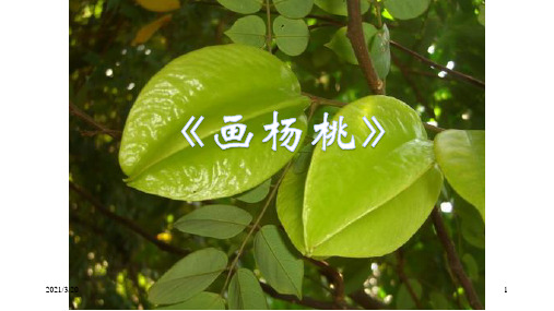 人教(部编版)二年级下册语文《画杨桃》课件