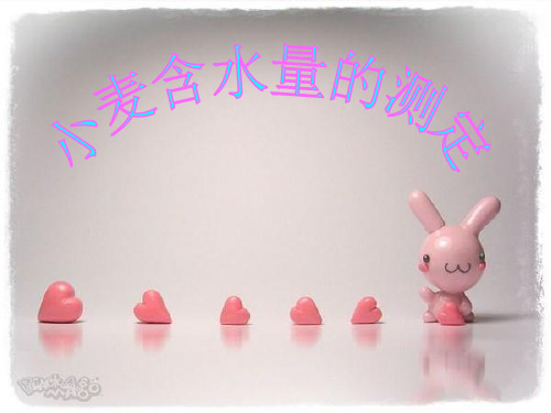 小麦含水量的测定