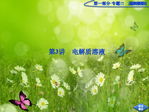 高三二轮复习：专题2第3讲《电解质溶液》课件