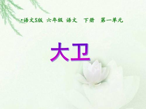 《大卫》(语文S版六年级下册课件)